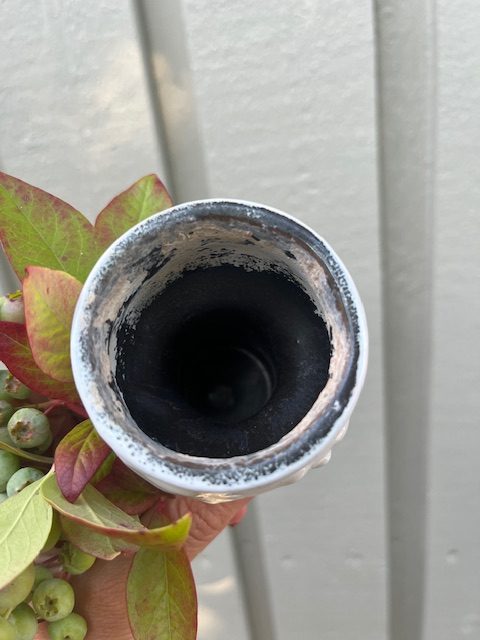 Pottedame - Billede 7